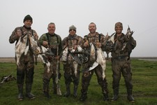 View The Photo Gallery